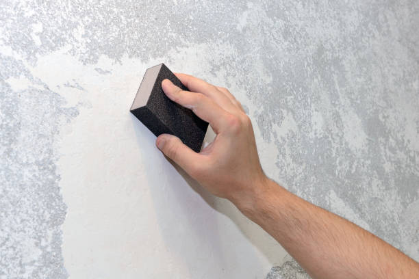 Best Commercial Mold Inspection  in Mill Neck, NY