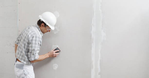 Best Asbestos and Lead Testing During Mold Inspection  in Mill Neck, NY