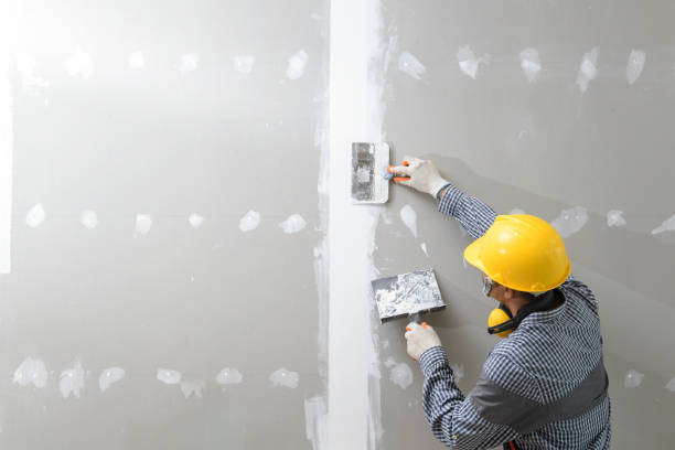 Professional Mold Removal in Mill Neck, NY