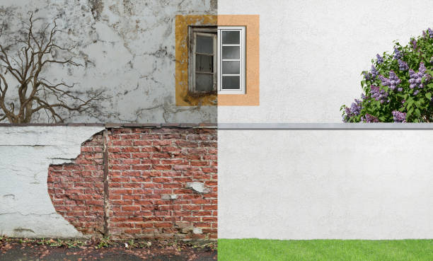Best Forensic Mold Investigation  in Mill Neck, NY