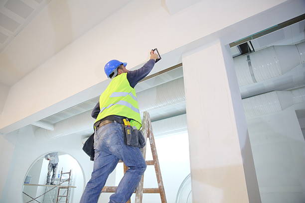 Best Mold Documentation for Insurance Claims  in Mill Neck, NY
