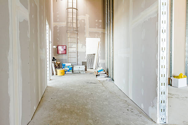 Best Air Quality Testing for Mold Spores  in Mill Neck, NY